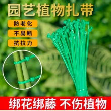 绿色尼龙扎带